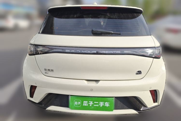 Used BYD Dolphin 2023 420 km Fashion Edition Rear