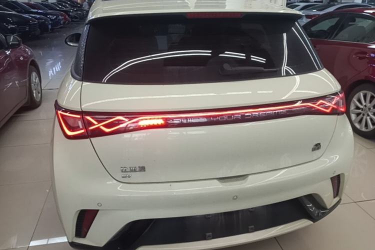 Used BYD Dolphin 2023 420 km Fashion Edition Rear