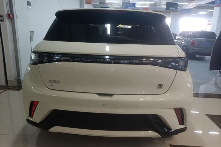 Used BYD Dolphin 2023 420 km Fashion Edition Rear