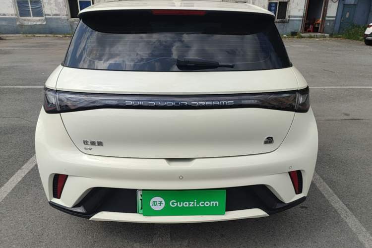 Used BYD Dolphin 2023 420 km Fashion Edition Rear