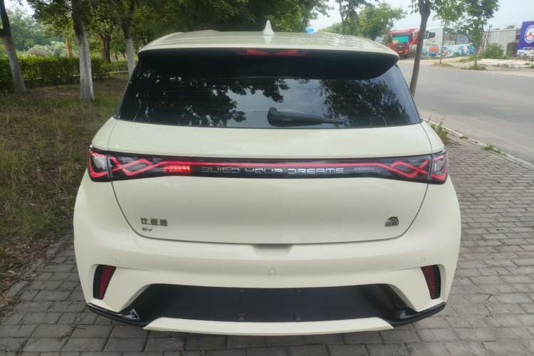 Used BYD Dolphin 2023 420 km Free Version Rear