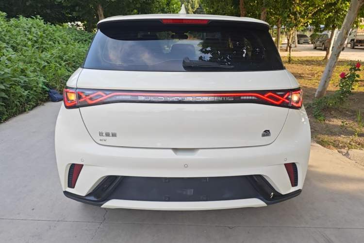 Used BYD Dolphin 2023 420 km Fashion Edition Rear