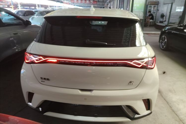 Used BYD Dolphin 2023 420 km Free Version Rear