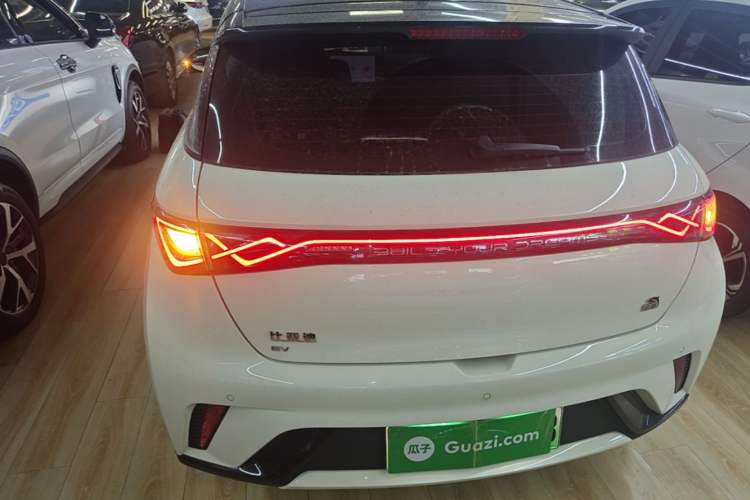 Used BYD Dolphin 2023 420 km Fashion Edition Rear