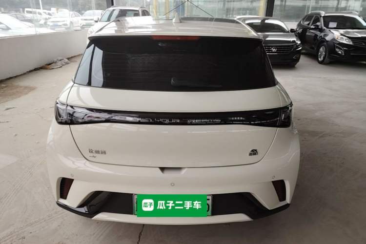 Used BYD Dolphin 2023 420 km Fashion Edition Rear