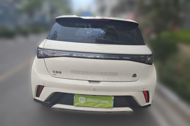 Used BYD Dolphin 2023 420 km Fashion Edition Rear