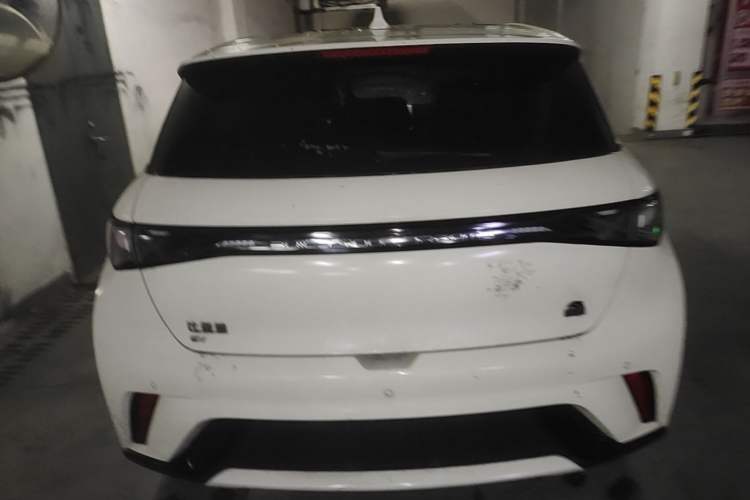 Used BYD Dolphin 2023 420 km Fashion Edition Rear