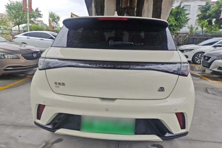 Used BYD Dolphin 2023 420 km Fashion Edition Rear