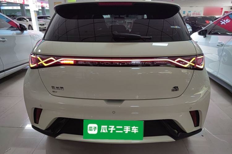 Used BYD Dolphin 2023 420 km Free Version Rear