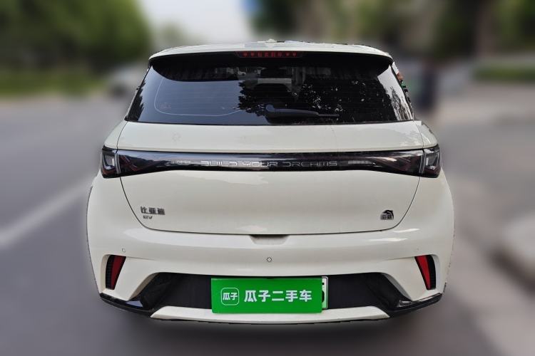 Used BYD Dolphin 2023 420 km Fashion Edition Rear