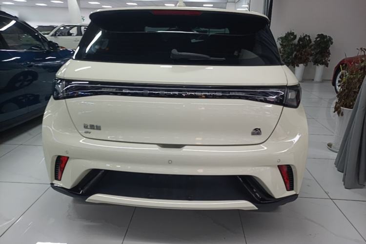 Used BYD Dolphin 2023 420 km Fashion Edition Rear