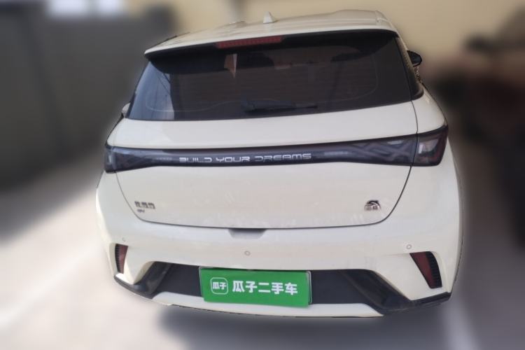 Used BYD Dolphin 2023 420 km Free Version Rear