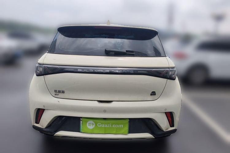Used BYD Dolphin 2023 420 km Free Version Rear