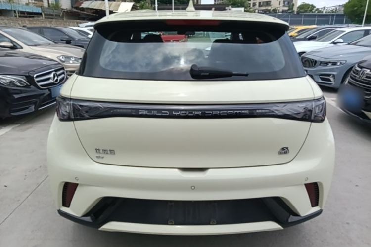 Used BYD Dolphin 2023 420 km Free Version Rear