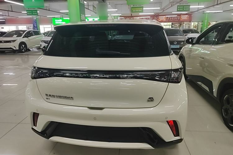 Used BYD Dolphin 2023 420 km Fashion Edition Rear
