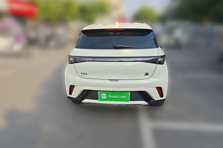 Used BYD Dolphin 2023 420 km Free Version Rear