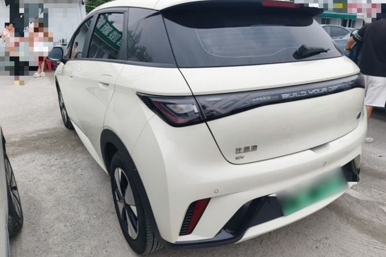 Used BYD Dolphin 2023 420 km Fashion Edition Rear Left 45 Deg