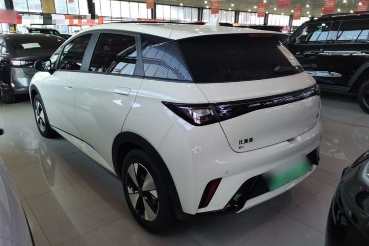 Used BYD Dolphin 2023 420 km Fashion Edition Rear Left 45 Deg