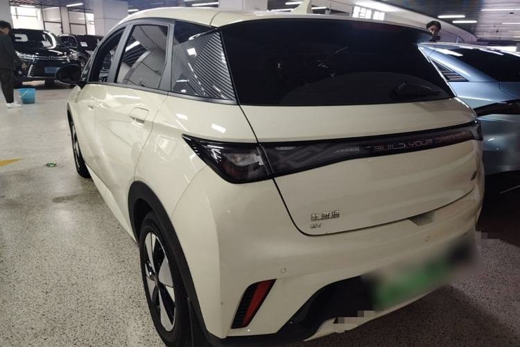 Used BYD Dolphin 2023 420 km Free Version Rear Left 45 Deg