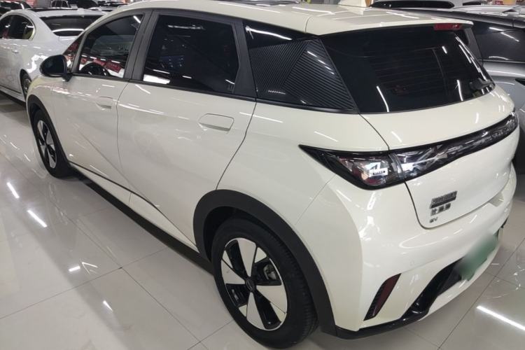 Used BYD Dolphin 2023 420 km Fashion Edition Rear Left 45 Deg