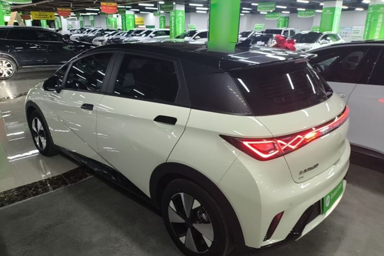 Used BYD Dolphin 2023 420 km Fashion Edition Rear Left 45 Deg