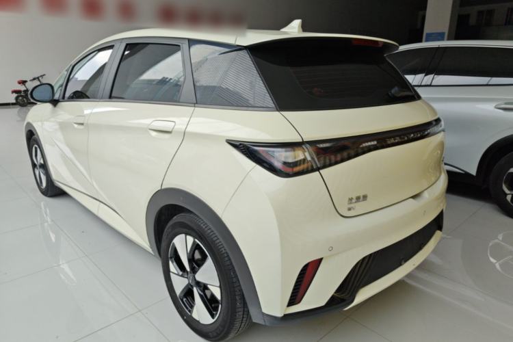 Used BYD Dolphin 2023 420 km Fashion Edition Rear Left 45 Deg