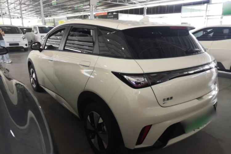 Used BYD Dolphin 2023 420 km Free Version Rear Left 45 Deg