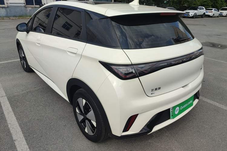 Used BYD Dolphin 2023 420 km Fashion Edition Rear Left 45 Deg