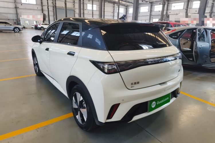 Used BYD Dolphin 2023 420 km Fashion Edition Rear Left 45 Deg
