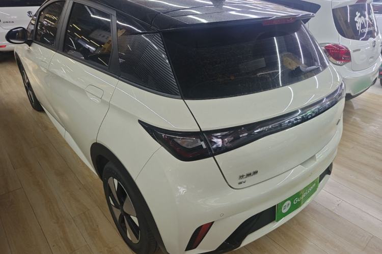 Used BYD Dolphin 2023 420 km Fashion Edition Rear Left 45 Deg