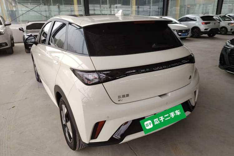 Used BYD Dolphin 2023 420 km Fashion Edition Rear Left 45 Deg