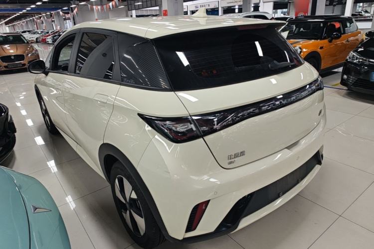 Used BYD Dolphin 2023 420 km Free Version Rear Left 45 Deg