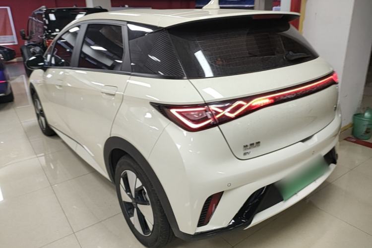 Used BYD Dolphin 2023 420 km Free Version Rear Left 45 Deg