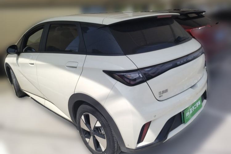 Used BYD Dolphin 2023 420 km Free Version Rear Left 45 Deg
