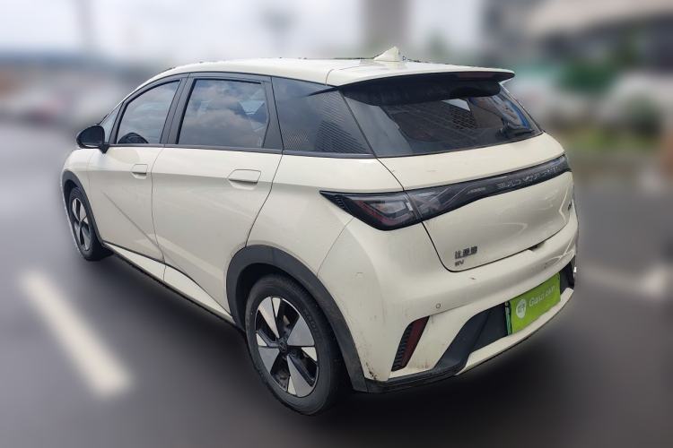 Used BYD Dolphin 2023 420 km Free Version Rear Left 45 Deg