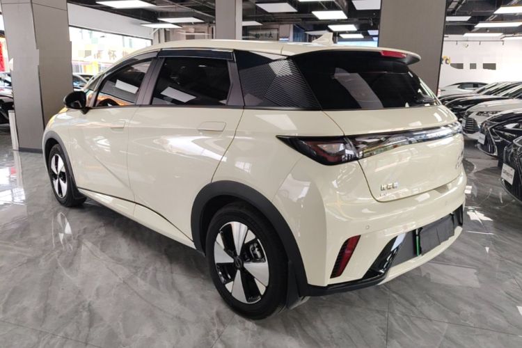 Used BYD Dolphin 2023 420 km Fashion Edition Rear Left 45 Deg