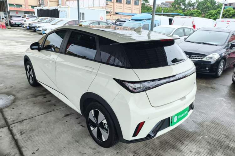 Used BYD Dolphin 2023 420 km Fashion Edition Rear Left 45 Deg