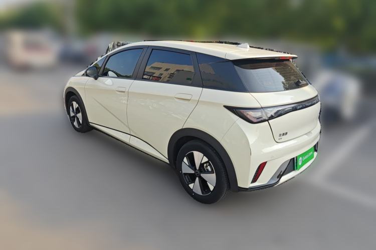 Used BYD Dolphin 2023 420 km Free Version Rear Left 45 Deg