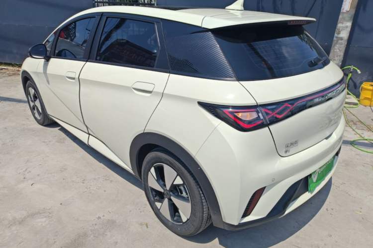 Used BYD Dolphin 2023 420 km Fashion Edition Rear Left 45 Deg