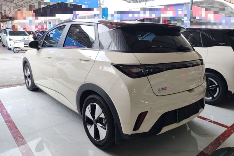 Used BYD Dolphin 2023 420 km Free Version Rear Left 45 Deg