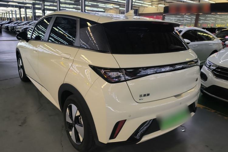 Used BYD Dolphin 2023 420 km Fashion Edition Rear Left 45 Deg
