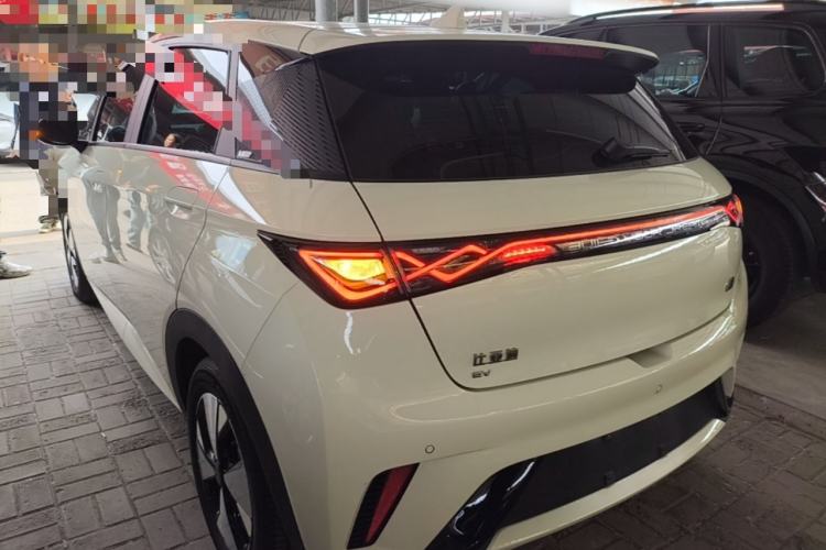 Used BYD Dolphin 2023 420 km Fashion Edition Rear Left 45 Deg