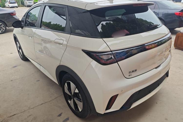 Used BYD Dolphin 2023 420 km Fashion Edition Rear Left 45 Deg