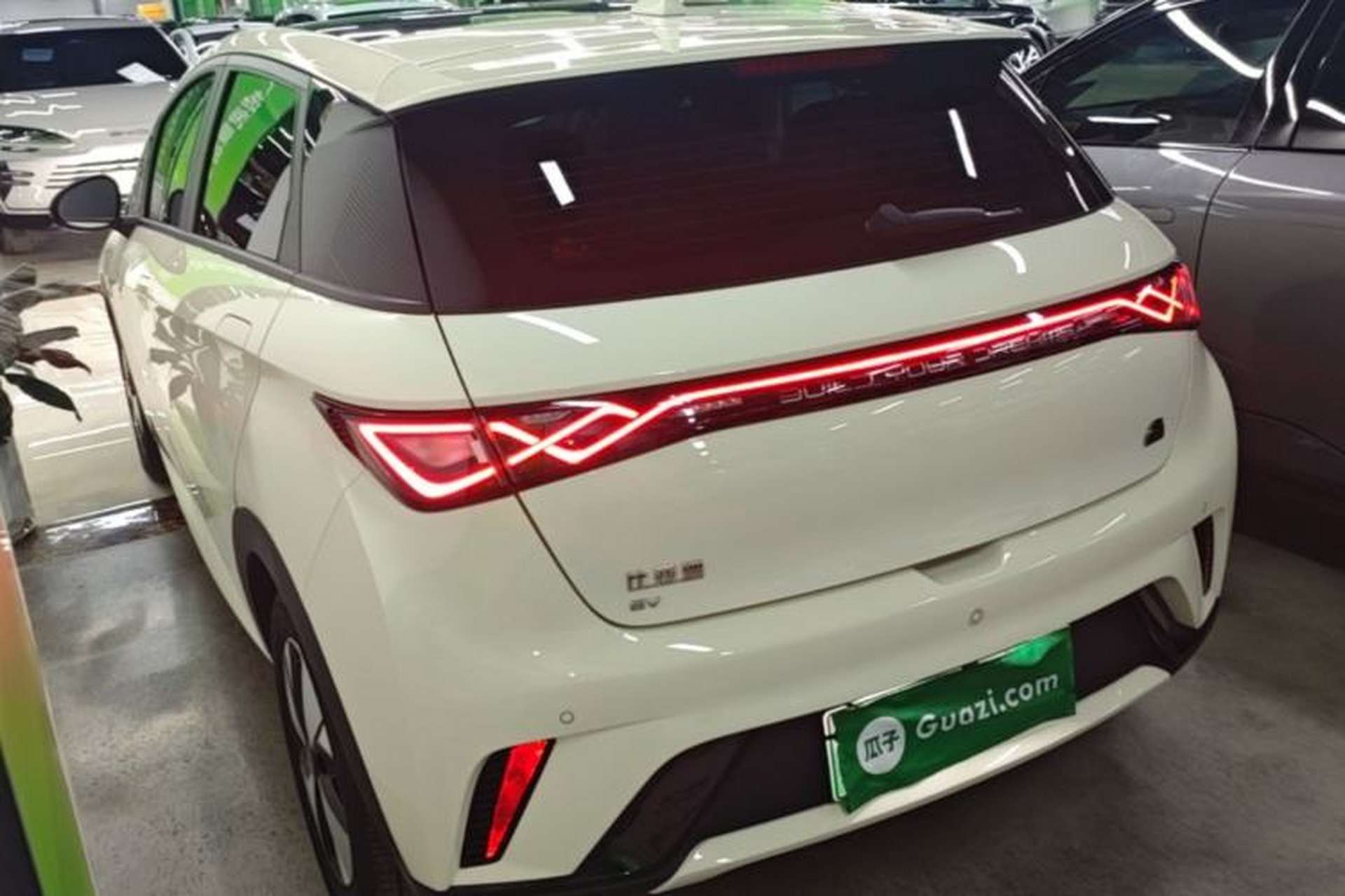 Used BYD Dolphin 2023 420 km Fashion Edition Rear Left 45 Deg