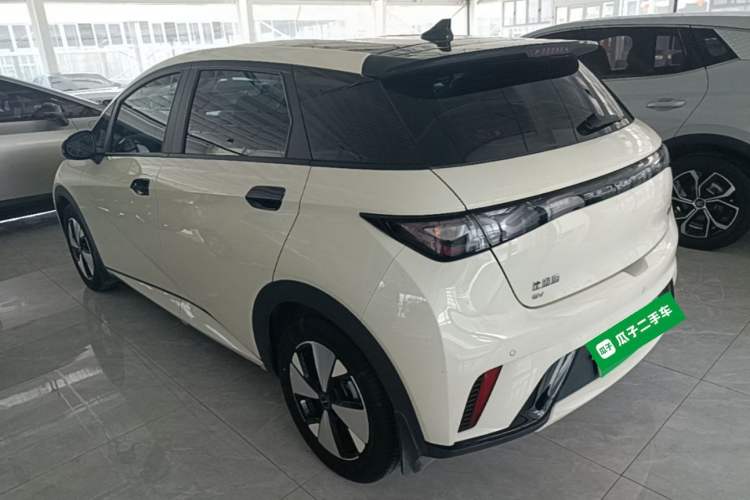 Used BYD Dolphin 2023 420 km Free Version Rear Left 45 Deg