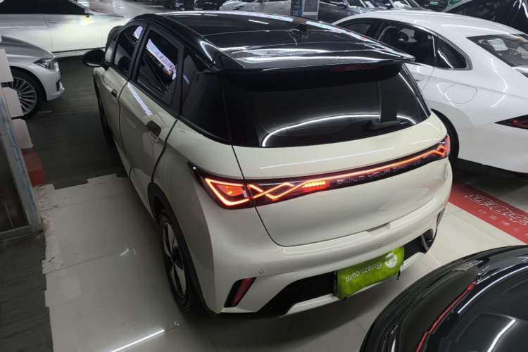 Used BYD Dolphin 2023 420 km Fashion Edition Rear Left 45 Deg