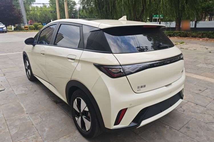 Used BYD Dolphin 2023 420 km Fashion Edition Rear Left 45 Deg