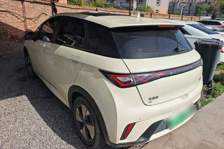 Used BYD Dolphin 2023 420 km Fashion Edition Rear Left 45 Deg