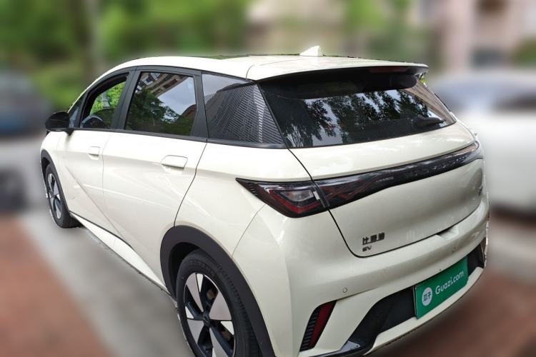 Used BYD Dolphin 2023 420 km Fashion Edition Rear Left 45 Deg