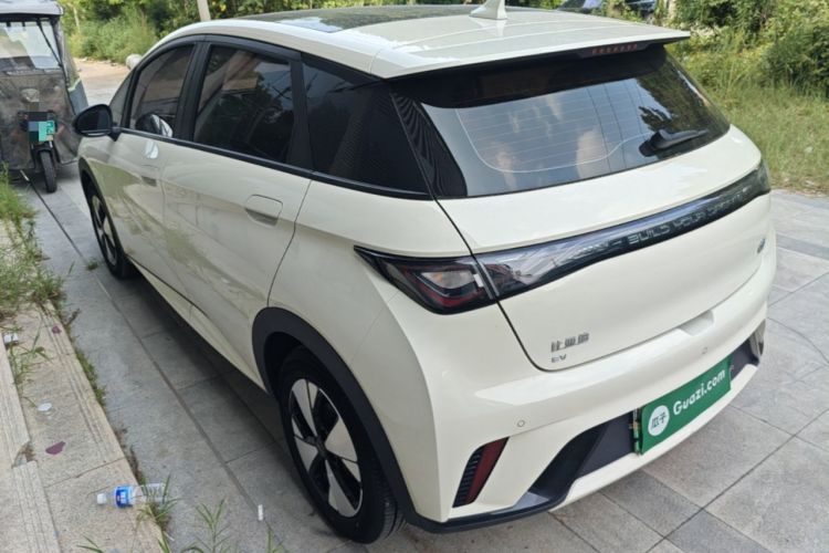 Used BYD Dolphin 2023 420 km Fashion Edition Rear Left 45 Deg